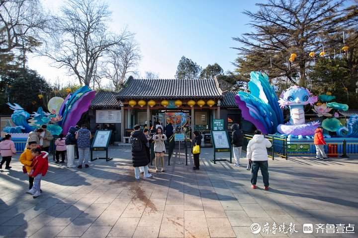 济南趵突泉景区有了蛇年“皮肤”,“泉城绮梦”灯组亮相