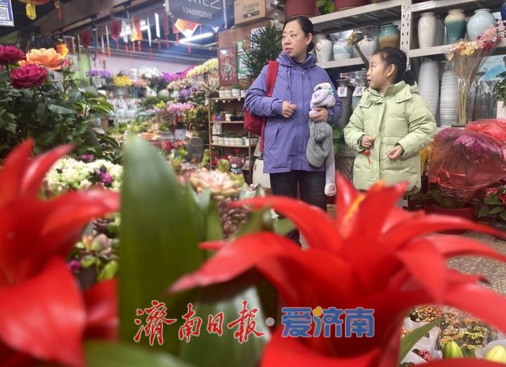 选择多了,价格降了!济南年宵花市场持续升温