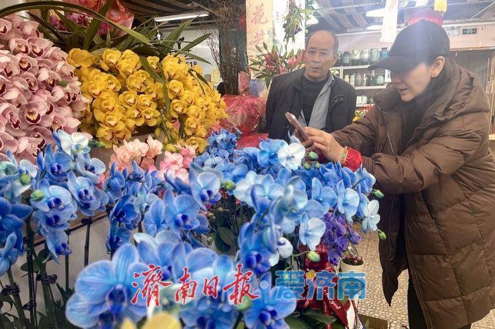 选择多了,价格降了!济南年宵花市场持续升温