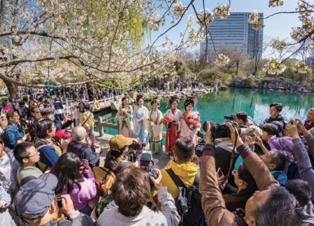 芳菲正好，邂逅泉城花花世界