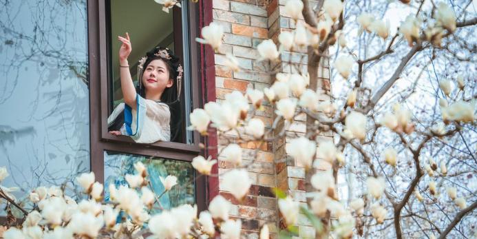 从小众到出圈,花朝节:被济南选中的美丽节日
