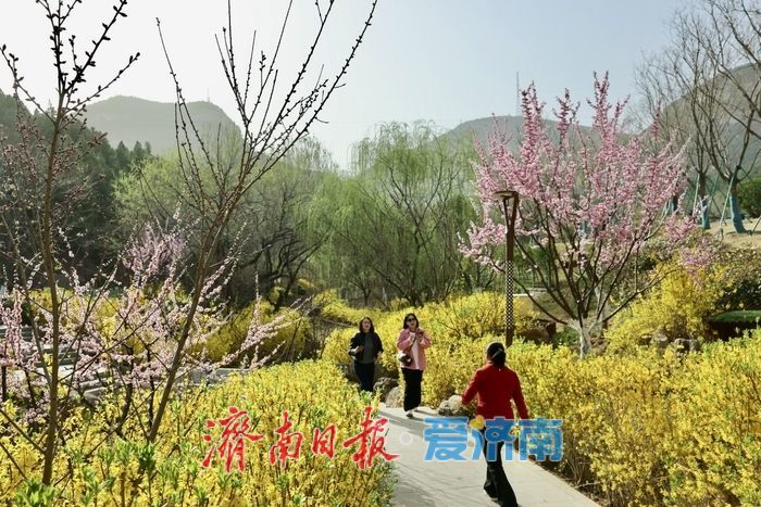 佛慧山梅香漫溪春色满园