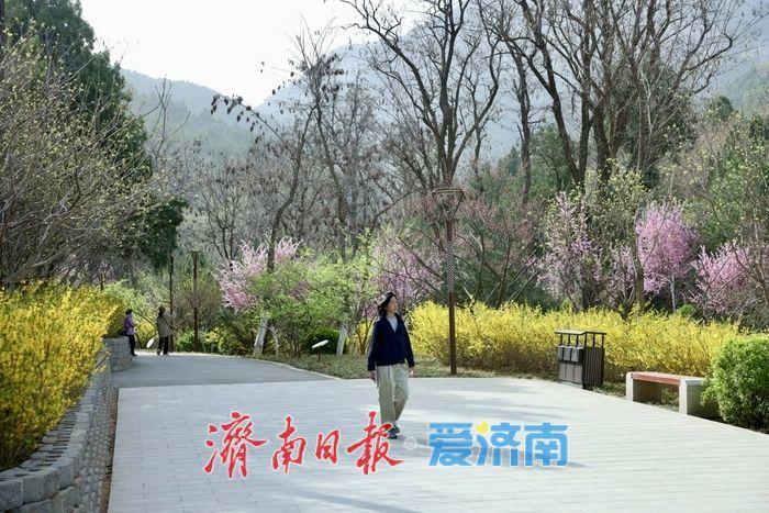 佛慧山梅香漫溪春色满园