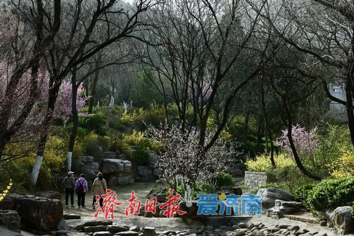佛慧山梅香漫溪春色满园