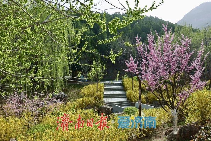 佛慧山梅香漫溪春色满园