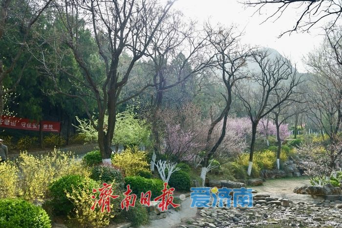 佛慧山梅香漫溪春色满园