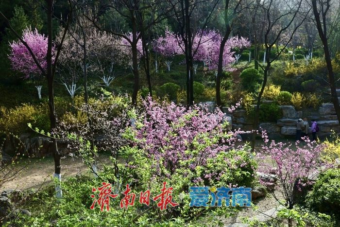 佛慧山梅香漫溪春色满园