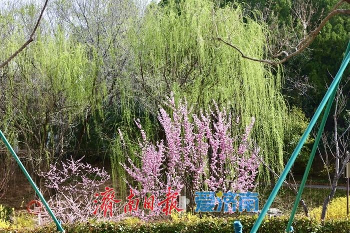 佛慧山梅香漫溪春色满园