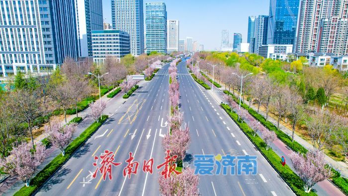 一路一景皆成画 济南城市主干道“花带”绵延数公里