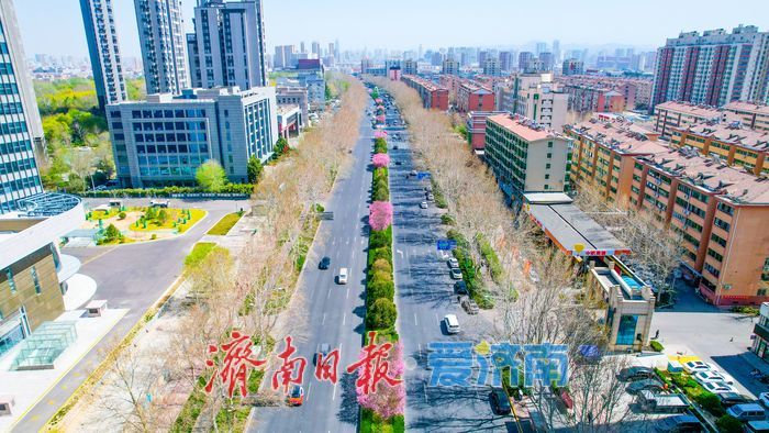 一路一景皆成画 济南城市主干道“花带”绵延数公里