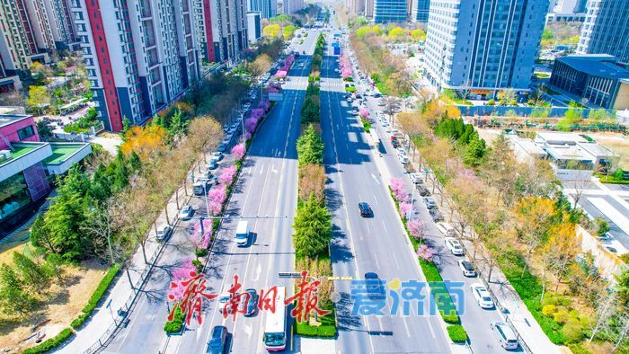 一路一景皆成画 济南城市主干道“花带”绵延数公里