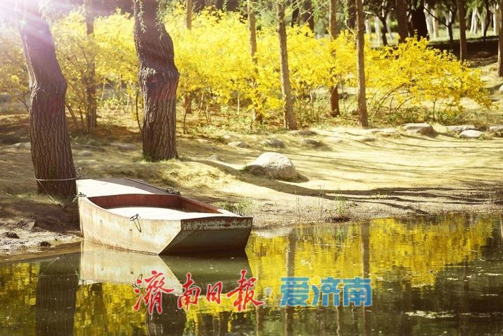 泉城芳菲四月天,漫享春日好时光