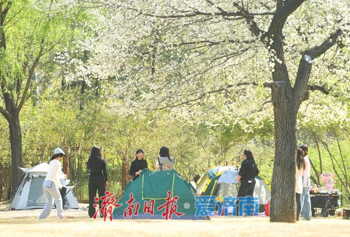 泉城芳菲四月天，漫享春日好时光