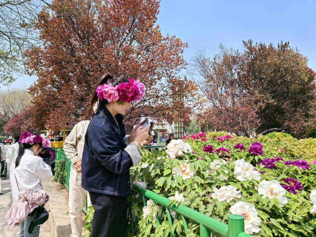 百年牡丹映太空 花海人潮醉春风
