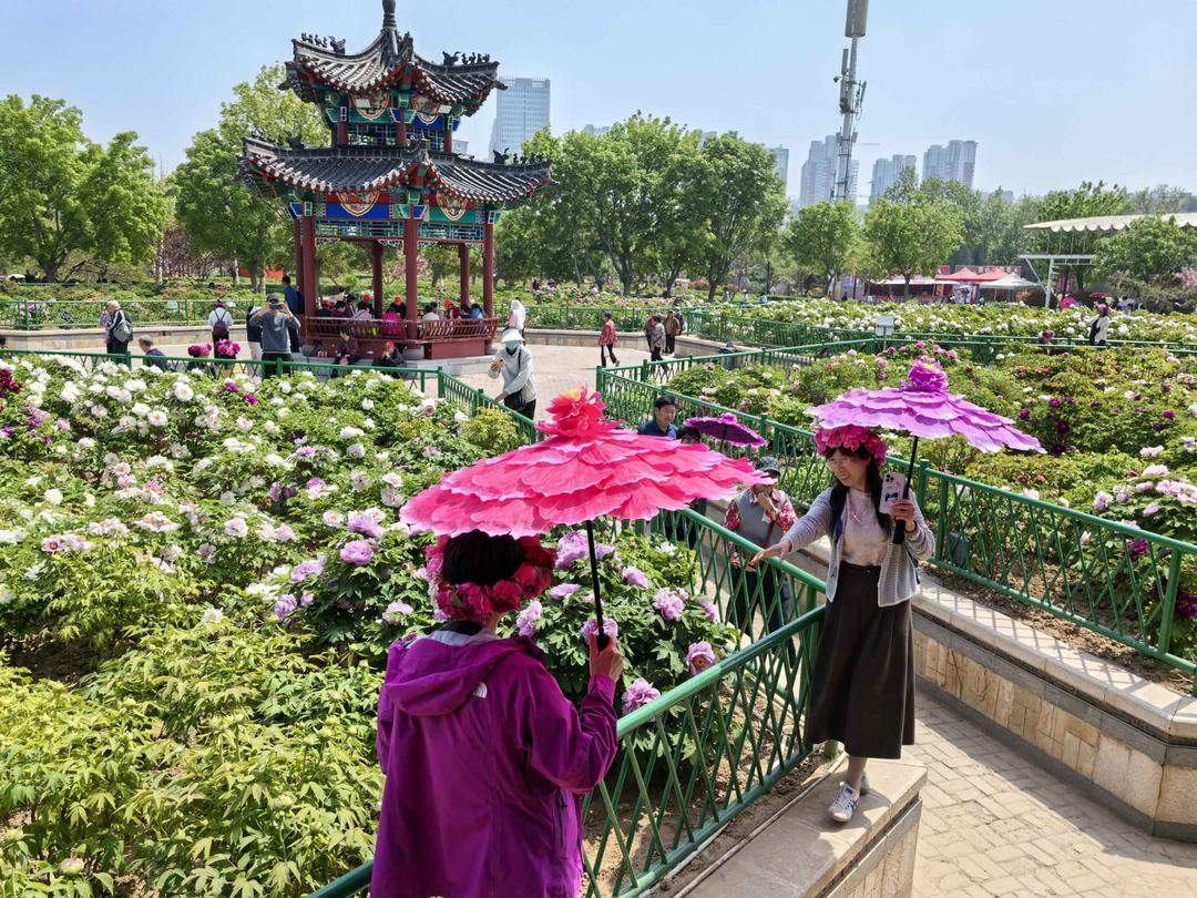 百年牡丹映太空 花海人潮醉春风
