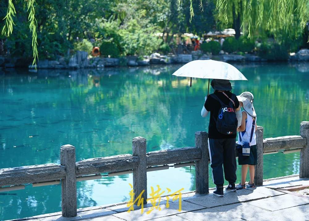 立秋日迎高温,济南暑期泉水游正当时