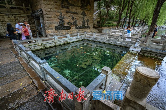 一年四季 泉在济南|济南黑虎泉水位攀升,夜景迷人引客来