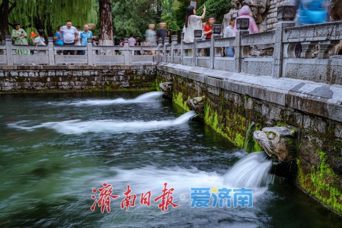 一年四季 泉在济南|济南黑虎泉水位攀升,夜景迷人引客来