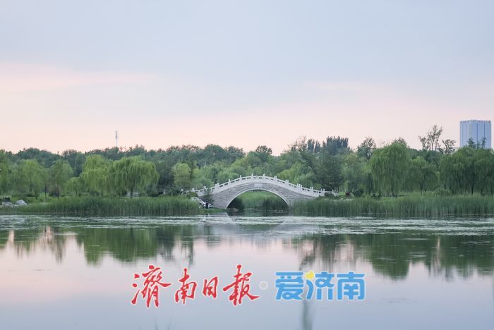 一年四季 泉在济南｜水清岸绿、草木葱茏！初秋华山湖畔诗意浓