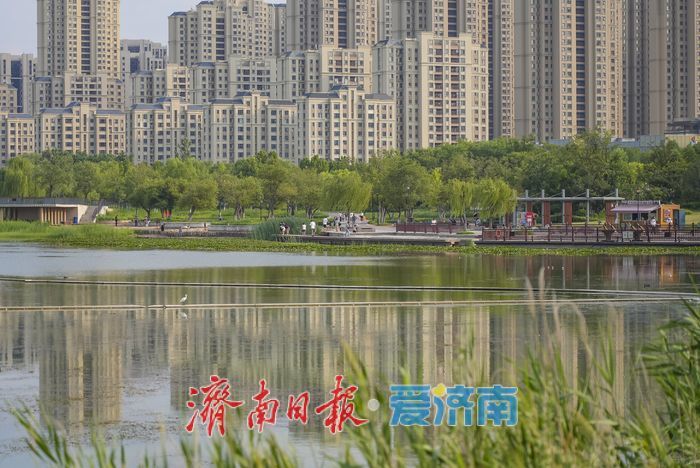 一年四季 泉在济南｜水清岸绿、草木葱茏！初秋华山湖畔诗意浓