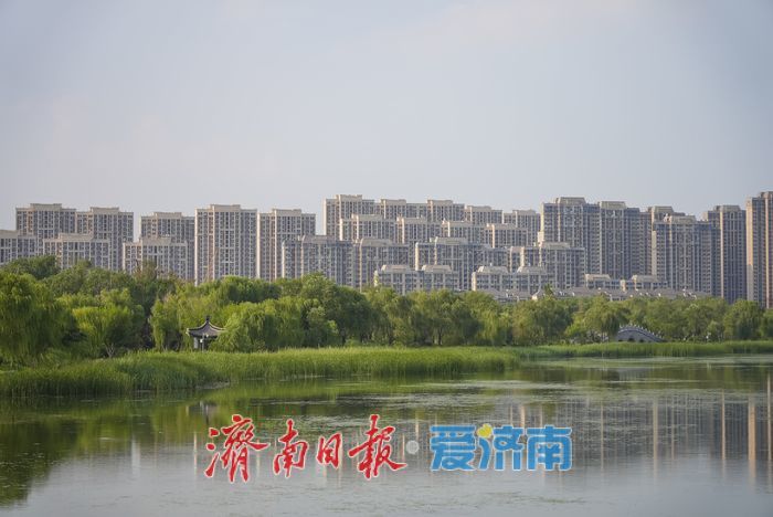 一年四季 泉在济南｜水清岸绿、草木葱茏！初秋华山湖畔诗意浓