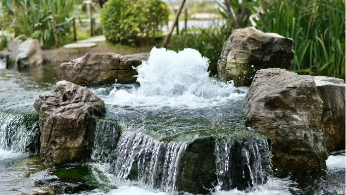 一年四季 泉在济南丨地下水位连日攀升 白泉现“喷珠溅玉”胜景