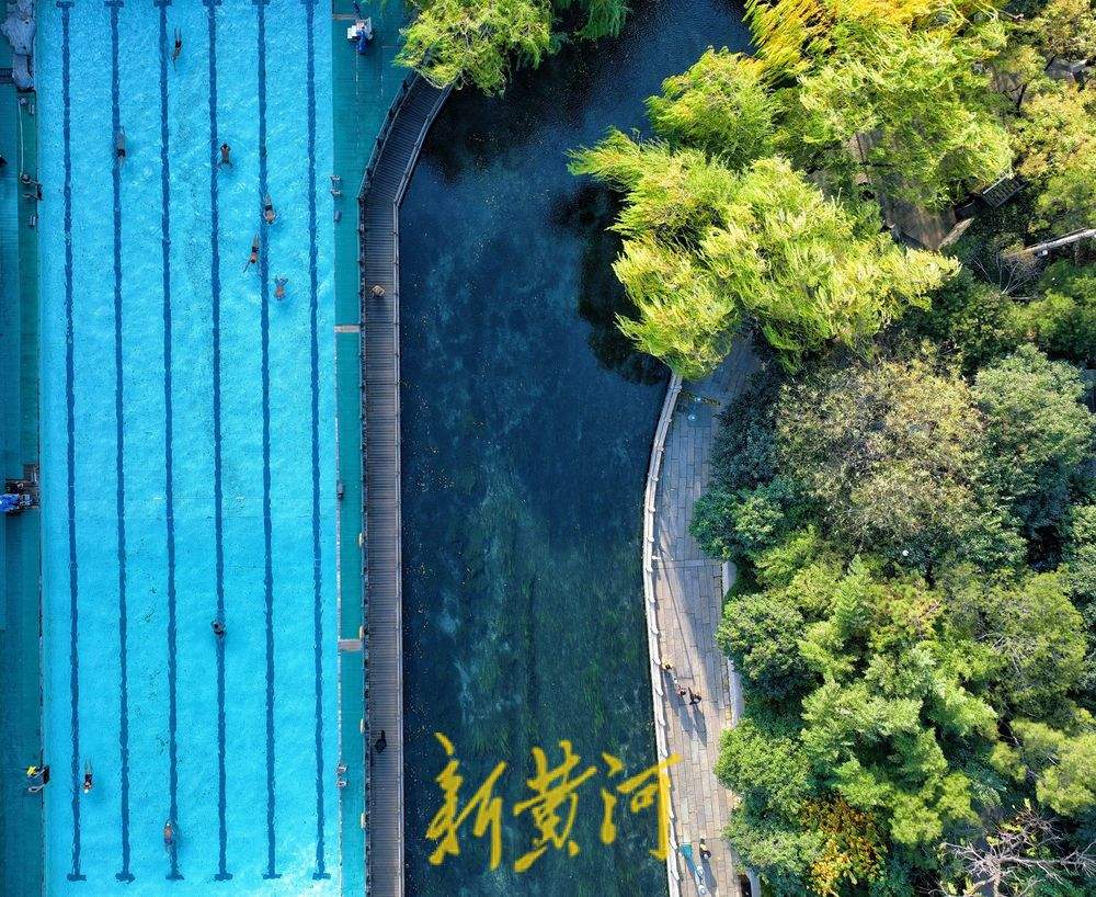 泉城“速冻”模式开启 市民冬泳热情高