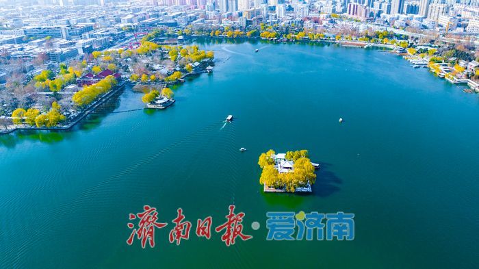 雪霁泉城!大明湖变身冬日画卷引客来