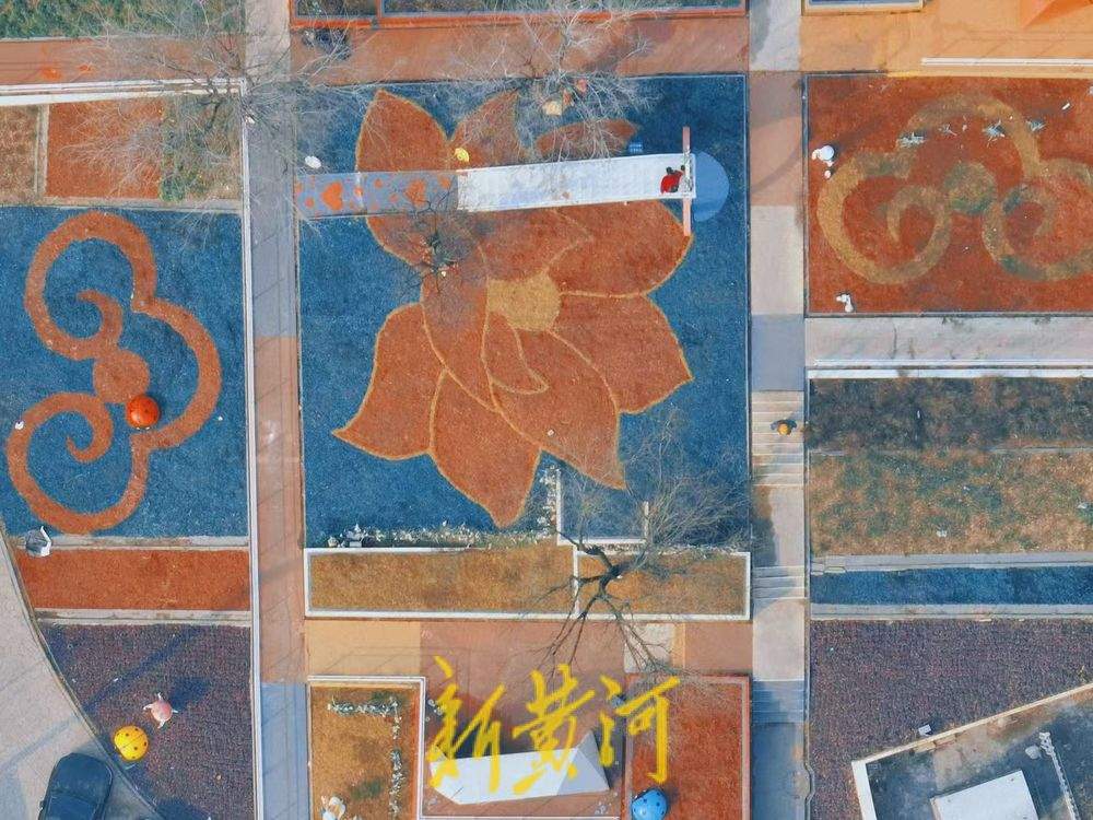 济南“七色花田”隆冬时节缤纷绽放