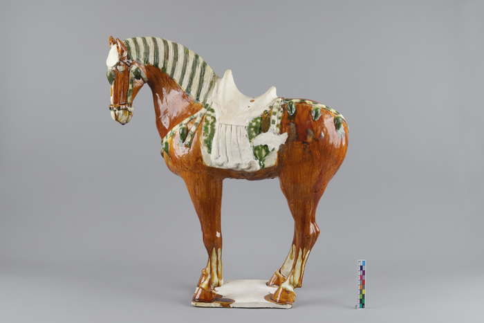 54件唐三彩修复完成,出土于济南樊家遗址唐代朱满墓,创山东文物修复史上一次性修复三彩器数量之最