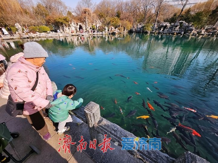 五龙潭水清澈见底 成群锦鲤“皆若空游无所依”