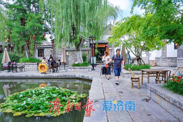 荷莲绽芳满池靚 百花洲流杯池荷莲次第盛放