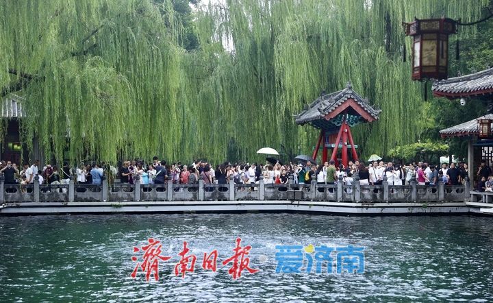 雨润泉城 趵突泉喷涌欢畅“水涌若轮”