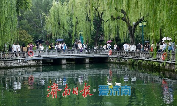 雨润泉城 趵突泉喷涌欢畅“水涌若轮”