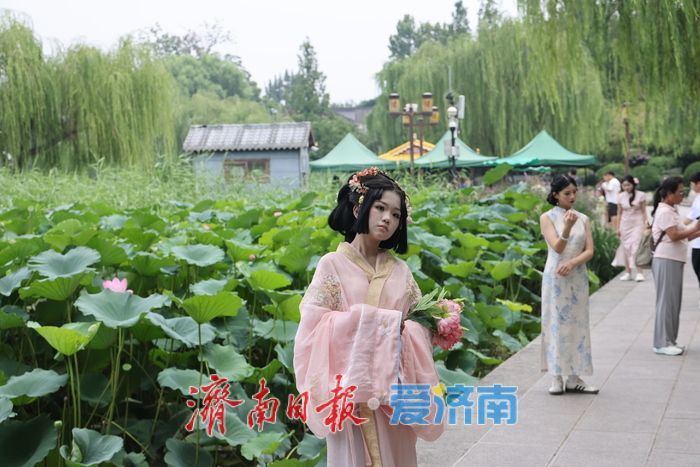 一年四季 泉在济南|荷风送香!大明湖荷花盛放引游人打卡