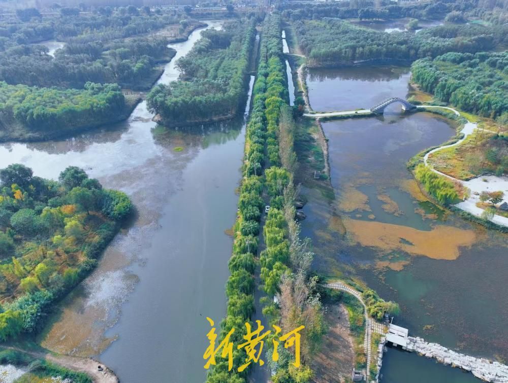 赏秋好去处,济南小清河源头湿地公园美景上线