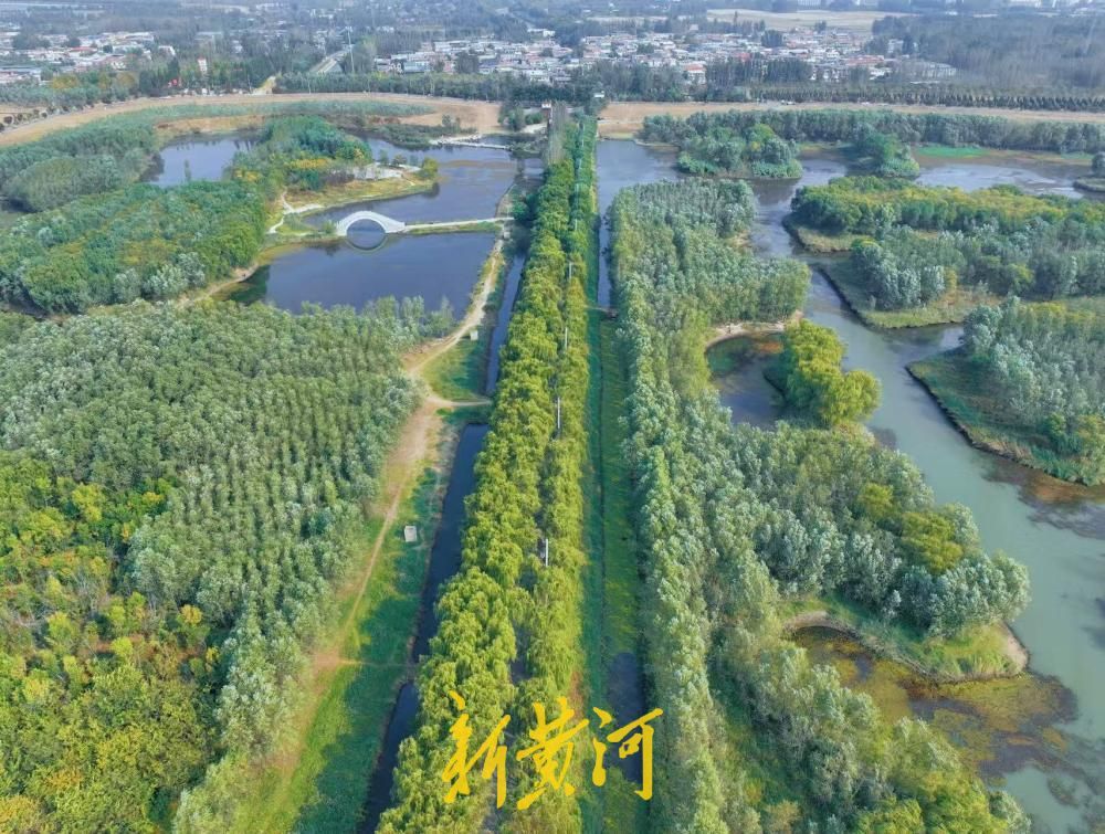 赏秋好去处,济南小清河源头湿地公园美景上线